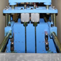 Machine de moulage de bouteille d'eau minérale Bowei Machine de fabrication de bouteille en plastique de moule de soufflage de petite bouteille prix
