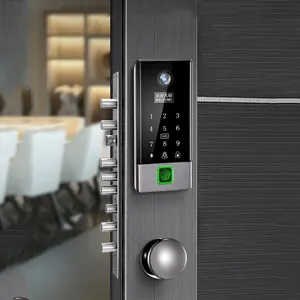 Fingerprint Furniture Home House Alarm Anti Theft Passcode Finger Print Double Side Main Smart Door Epic Digital Safe Locks