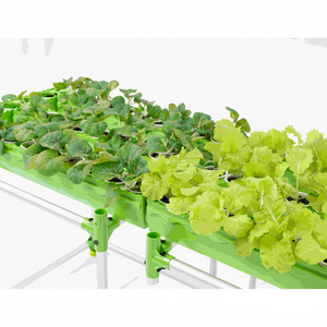 Grandes serres hydroponiques aquaponiques Kit agricole Pots de plantes économiques Intérieur Extérieur Légumes Herbes Fleurs Plantation à domicile - Product Image 1