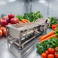 Huchuan Hoge Kwaliteit Ecologische Fruit & Groente Belletjesreinigingsmachine Sla Pompoen Verwerkingslijn 500kg/u Capaciteit