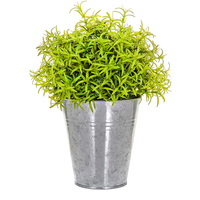 Set 12 Pot Bunga Mini Besi Galvanis, Pot Tanaman Logam Perak Bentuk Kerucut, Pot Tanaman Galvanis Kecil Serbaguna