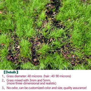 Tapis <span class=keywords><strong>de</strong></span> mousse artificielle <span class=keywords><strong>de</strong></span> plante miniature d'effet <span class=keywords><strong>de</strong></span> sol <span class=keywords><strong>de</strong></span> fente pour la décoration <span class=keywords><strong>de</strong></span> paysage - Product Image 2