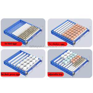 TUOYUN Máy Ấp Trứng Chất Lượng Cao Bán Chạy Máy Ấp Trứng 200 Trứng 110V 220V - Product Image 5