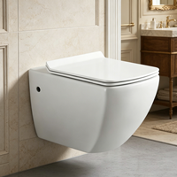 WC suspendu en porcelaine monobloc, ensemble de toilettes gain de place pour villas et salles de bain scolaires