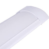 Shingel 36W 40W 60W 72W Fixation de purification 5FT 3FT 2FT 4FT Linéaire LED Batten Light
