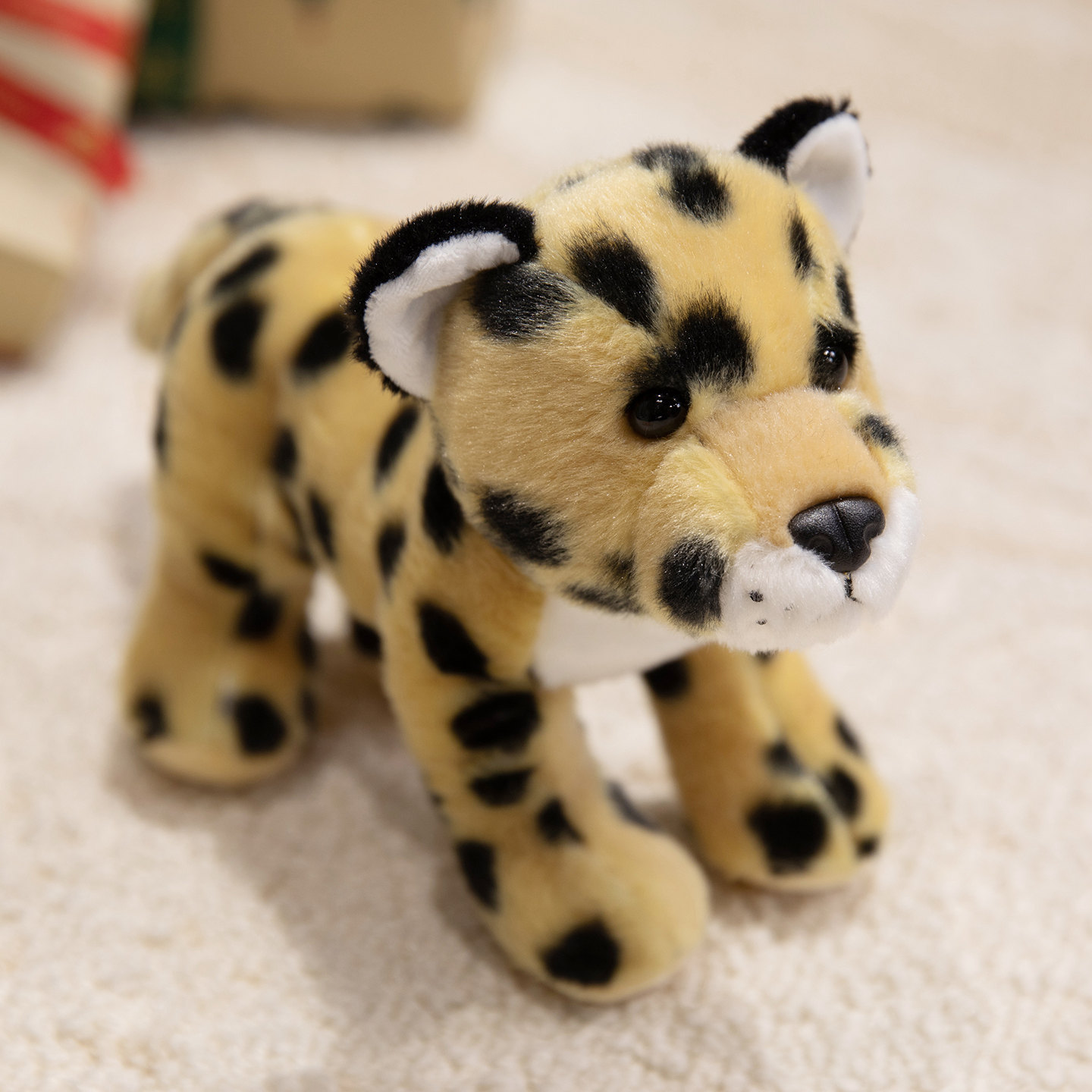Leopard