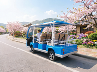 Navette électrique bleue 8 places pour le transport de passagers à l'aéroport et dans les stations balnéaires