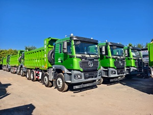 Kullanılmış Shacman M3000S 336HP 8x4 Damperli Kamyon, Taş Ocağı ve Madencilik Operasyonları için Yüksek Yük Kapasitesi - Product Image 4