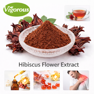 Muestras Gratis de Hibisco para Belleza, Hibisco Sabdariffa, Extracto de Flor de Hibisco de Alta Calidad - Product Image 1