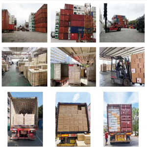 Spedizioniere marittimo cinese spedizioniere logistica internazionale porta a porta spedizioniere <span class=keywords><strong>DDP</strong></span> spedizione dalla cina al Canada - Product Image 2