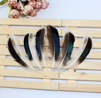 Plume de canard naturelle grise teinte pour artisanat d'art DIY coiffure chapeau accessoire de costume carnaval fête mariage maison Halloween décor