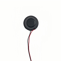 Runder interner Magnet 31mm Full Range 8Ohm 2W Multimedia-Lautsprecher Treiber teile