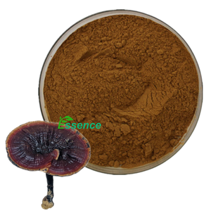 Ekstrak Jamur Reshi kualitas tinggi 30-37/60% <span class=keywords><strong>Lingzhi</strong></span> Polysaccharide Powder Ganoderma Lucidum ekstrak - Product Image 1