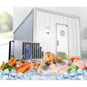 New Large-Scale Fish Meat Storage Cold Room CE Competitive Project Cost
