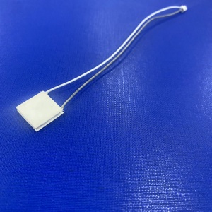 Chip Làm Mát Vi Nhiệt Điện 15X15Mm Tùy Chỉnh Để Treo Quạt Cổ - Product Image 4