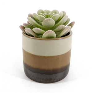 Suculentas Artificiales <span class=keywords><strong>de</strong></span> <span class=keywords><strong>Echeveria</strong></span> Lotus, Pequeñas Plantas Artificiales con Tacto Real, Plantas Suculentas <span class=keywords><strong>de</strong></span> Lotus Simuladas para el Hogar - Product Image 1