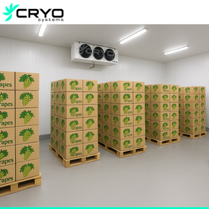 Nhiệt độ nhạy cảm các mặt hàng kiểm soát bầu không khí lưu trữ phòng lạnh ca lưu trữ cho Apple trái cây - Product Image 1