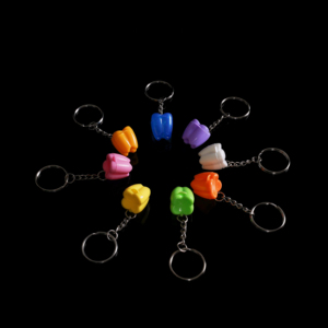 Phim Hoạt Hình Trẻ Em Răng Giả Hộp Trang Trí Móc Chìa Khóa Mô Hình Răng Hình Dạng Trẻ Em Sữa Răng Hộp Nha Khoa Phòng Khám Nha Khoa Quà Tặng - Product Image 5