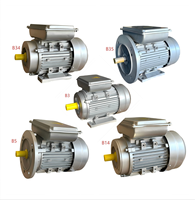 Moteur électrique asynchrone monophasé à double condensateur série YL 1400 tr/min |   Moteur à induction à phase divisée AC 220V à couple élevé CSCR