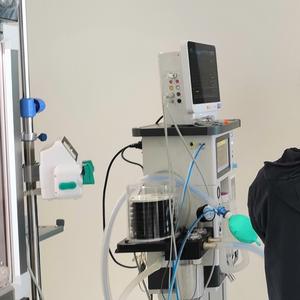 Máquina de Anestesia Animal Econômica que Redefine o Padrão, Dispositivo Avançado de Anestesia Respiratória Multifuncional, Equipamento Veterinário - Product Image 2