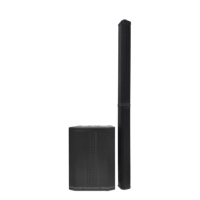 Sistema de Altavoces de Arreglo Lineal Activo Portátil de Sonido Profesional para Escenario de DJ, Patentado, de 3200 W, Accuracy Pro Audio AC39D3