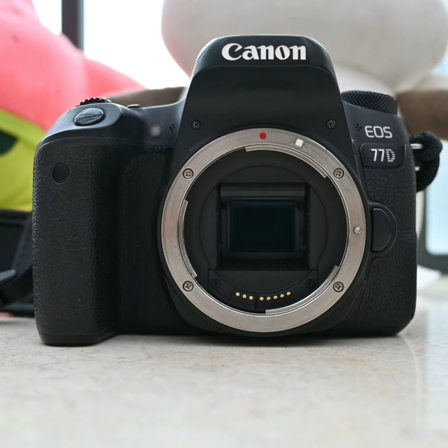 Used EOS 77D 24.2MP Professional APS-C CMOS Sensor DSLR Camera with Full HD Video SD Card 3.0" Vari-angle Touchscreen Cheap