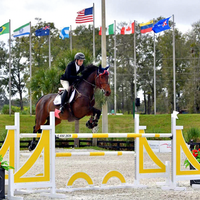 Courses équine de qualité supérieure, forme et taille personnalisées, produits de courses pour cheval, saut, offre spéciale