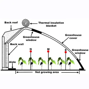 China energy conservation solar greenhouse for Winter