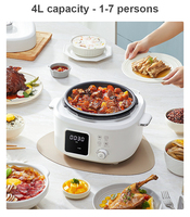 Autocuiseur Électrique 4L 1300W Multifonctionnel à Couvercle Amovible, Idéal pour la Cuisson et la Friture – Vente Directe Usine