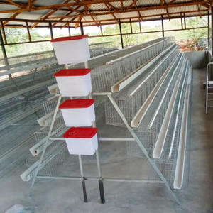 <span class=keywords><strong>Codorniz</strong></span> pato o pollo huevo casa diseño puesta gallina pollo jaula estructura de acero avícola granja casa diseño prefabricado granja de pollos - Product Image 1