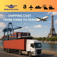 Fournisseur de services logistiques rapides et économiques, transport maritime DDU, transport maritime FCL, transitaire maritime, Chine vers la France, conteneur complet