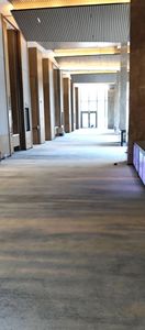 Alfombra de lana hecha a máquina, de lujo, de color gris y <span class=keywords><strong>dorado</strong></span>, de pared a pared, Axminster - Product Image 3