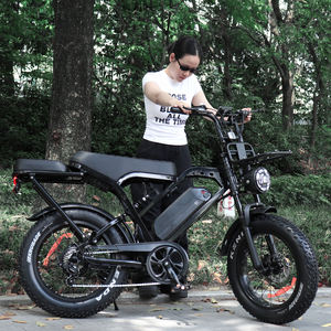 X80 Pro Electric Dirt Bike Livraison Scooter Fatbike V20 Batterie E-Bike avec cadre en acier au lithium 48v - Product Image 3