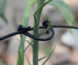 Clips de ligature de vignes <span class=keywords><strong>à</strong></span> économie d'effort - Crochets de vignes <span class=keywords><strong>à</strong></span> commande <span class=keywords><strong>à</strong></span> une main - Clips de support professionnels pour treillis de vergers pour vigne - Product Image 6