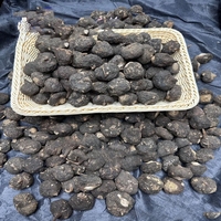 Vente en gros Tablette de maca noire chinoise à base de plantes saines Ultimate Maca Plus