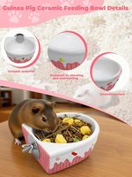 Bol d'alimentation suspendu en céramique, anti-déversement, pour chinchilla, cochon d'Inde, lapin, hamster syrien, furet, gerbille