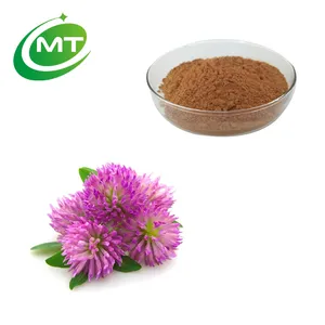Top Quality Red Clover Extract Trifolium pratense Red Clover Extract powder