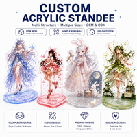 Mercancía de Anime, Soporte Acrílico, Impresión UV de Precisión, Acrílico Transparente para Coleccionables de Cultura Pop, Directo de Fábrica
