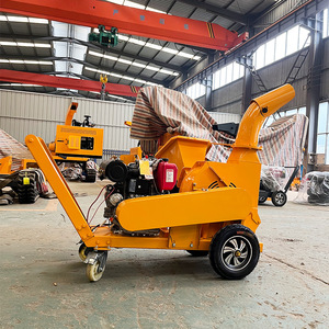 Trituratore di Rami Mobile da Giardino, Trituratore di Rami Elettrico a Spinta Manuale, Trituratore Orizzontale di Legno Diesel - Product Image 2