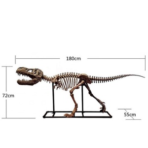 Sculpture en fibre <span class=keywords><strong>de</strong></span> verre dinosaure squelette fossile <span class=keywords><strong>tyrannosaure</strong></span> Rex crâne squelette modèle musée exposition accessoires scientifiques populaires - Product Image 3