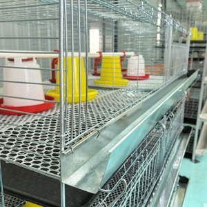 Giá Tốt H Loại 3/4 Tiers Pin <span class=keywords><strong>Brooder</strong></span> Lồng Cho 10000 Gà 90 Để 320 Chim Gia Cầm Trang Trại Bé Gà Lồng Lồng Bán - Product Image 3