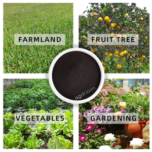 Agrinorm Chứng Nhận Hữu Cơ Nước Hòa Tan Phân Bón Bột Humic & Rong Biển Chiết Xuất & Axit Amin Cho Đất Ứng Dụng - Product Image 6