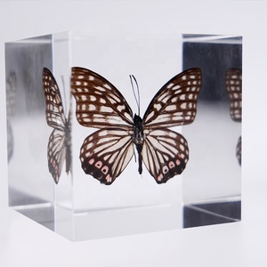 Regali personalizzati creativi incorporati in acrilico Lucite bottiglia di montatura fermacarte articoli Souvenir decorazione per la casa per bambini Educa - Product Image 4