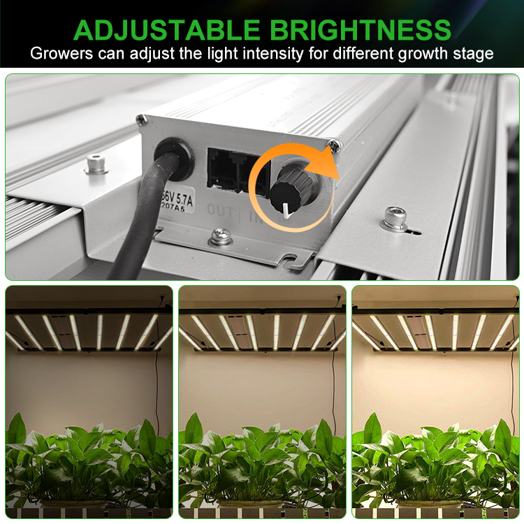 2025 1000watt grow light full spectrum