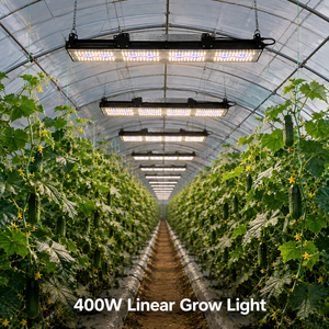 Modulares Gewächshaus-Wachstumslicht 200W 300W 400W Schlanke Lineare Deckenleuchte für Tomaten-, Gurken- und Paprika-Produktion - Product Image 2