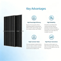 Module solaire bifacial à double verre Trina 640W 645W 650W, panneau solaire demi-cellule 625W 630W 635W 640W 650W, bifacial TSM-NEG19RC.20