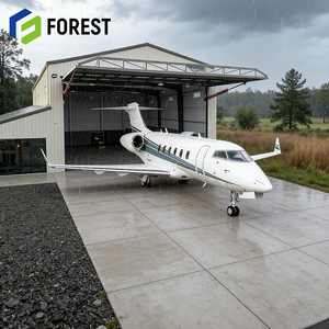Hangar d'avion en structure métallique à grande portée, personnalisé, de haute qualité, isolé pour l'entretien des hélicoptères, prix compétitif - Product Image 1
