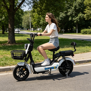 Vélo électrique à cadre léger de 14 pouces pour femmes avec batterie au plomb-acide 48V 12Ah et pneus de 14 pouces pour une maniabilité aisée - Product Image 5
