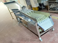 Automatische Maat Sortering Transportband Fruit Grader Orbitale Grootte Nion Sorteerder Machine Aardappel Sorteermachine Bosbessen Sorteermachine