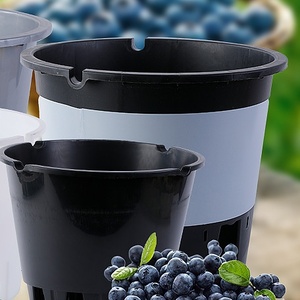 Bayas al aire libre Hidroponía Durable 25/30L <span class=keywords><strong>Maceta</strong></span> de plástico Macetas de vivero de plántulas de flores Macetas de cultivo de arándanos de fresa - Product Image 1